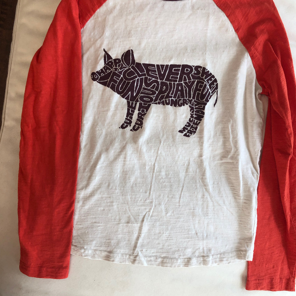 Boden Fun Piggy Tshirt (Raglan)